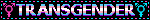a blinkie with the trans symbol on each side of a black background. trans flag coloured text reads 'transgender'